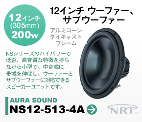 E[t@[/TuE[t@[Xs[J[ AURASOUND NS12-513-4A