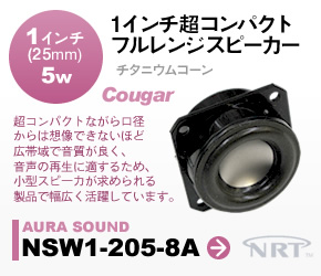 RpNgtWXs[J[ AURASOUND NSW1-205-8A